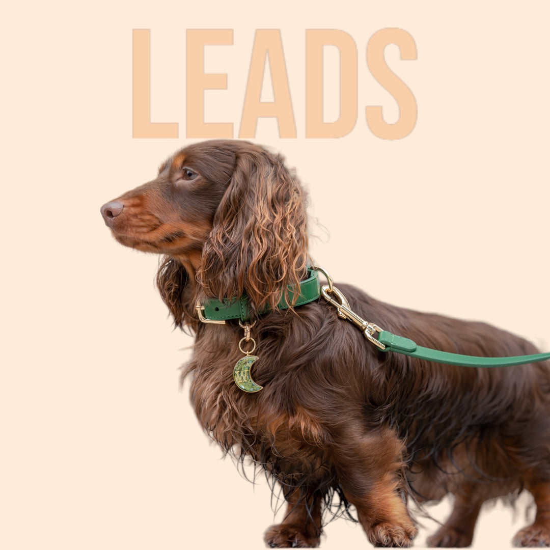Tails & Bloom - Vegan Leather Dog Leads