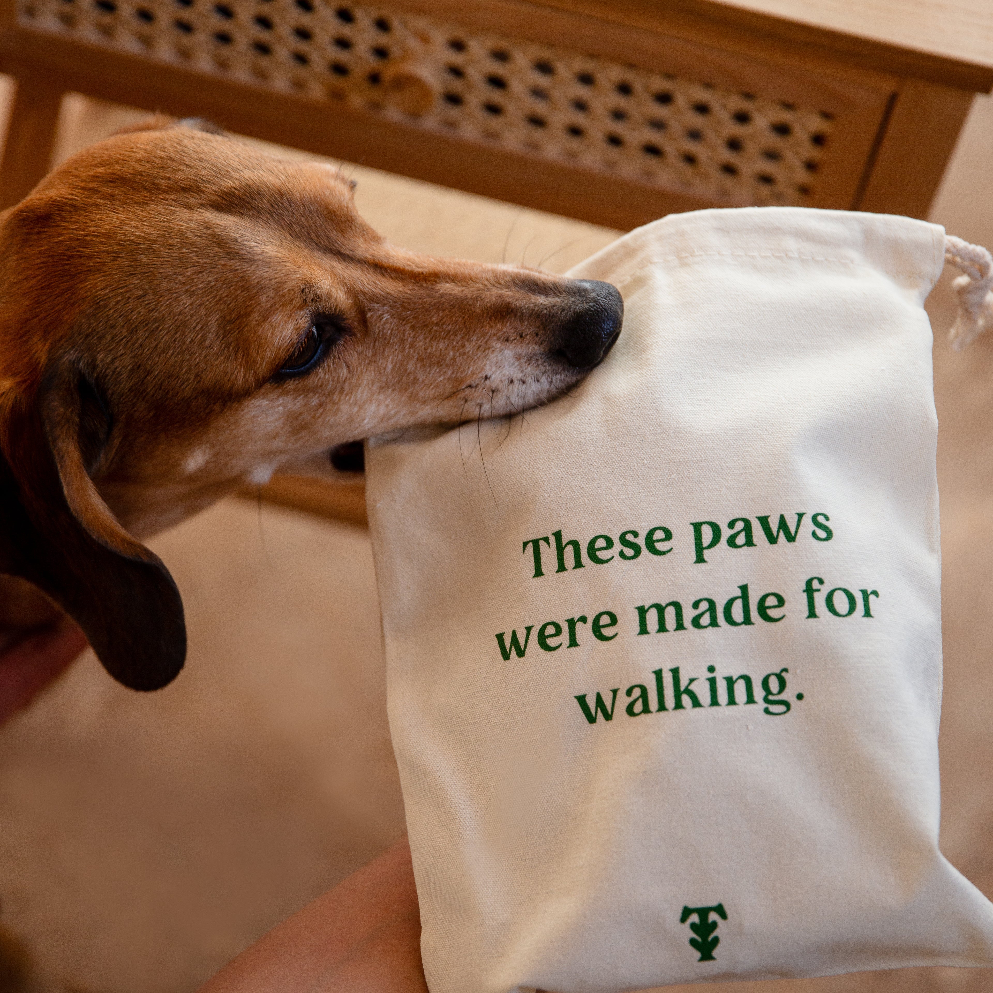 Gifting for the Modern Dog Parent