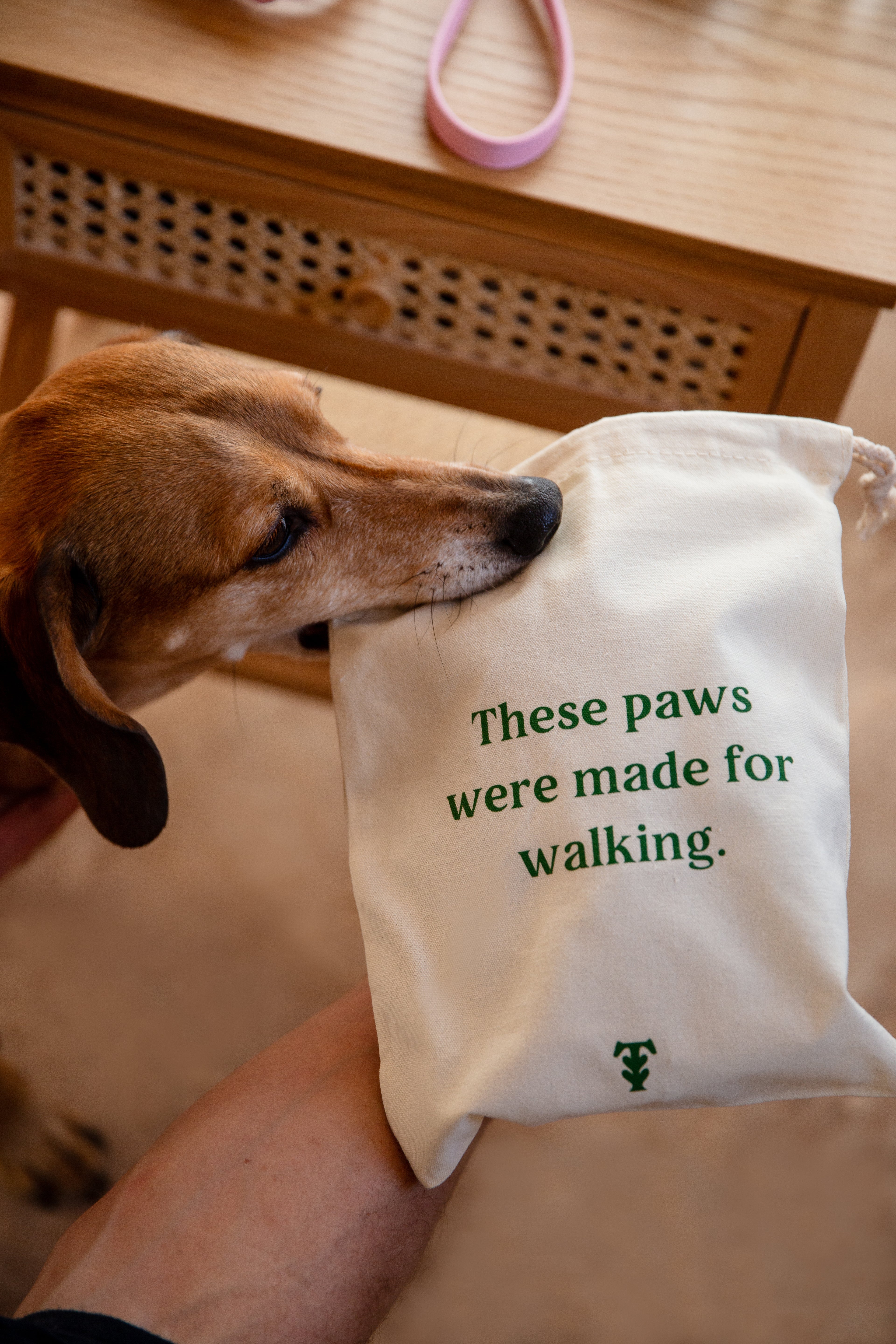 Gifting for the Modern Dog Parent