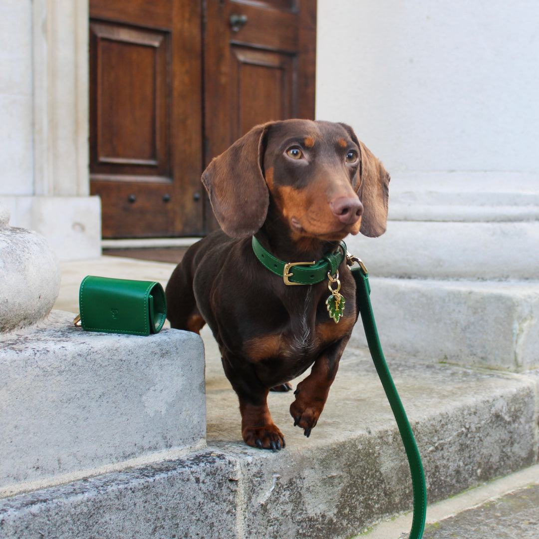 Green Poop Bag Dispenser Tails & Bloom Stylish and Convenient Pet Waste Solution Tails&Bloom