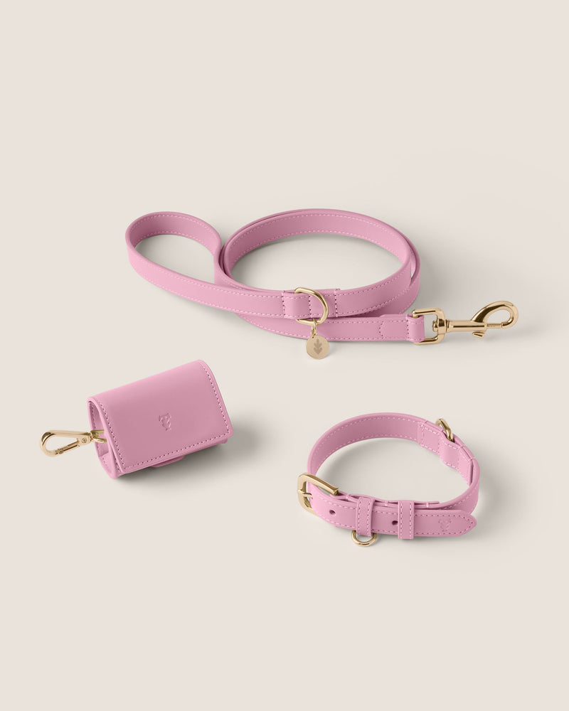 Bunny Pink Walk-Wear Set