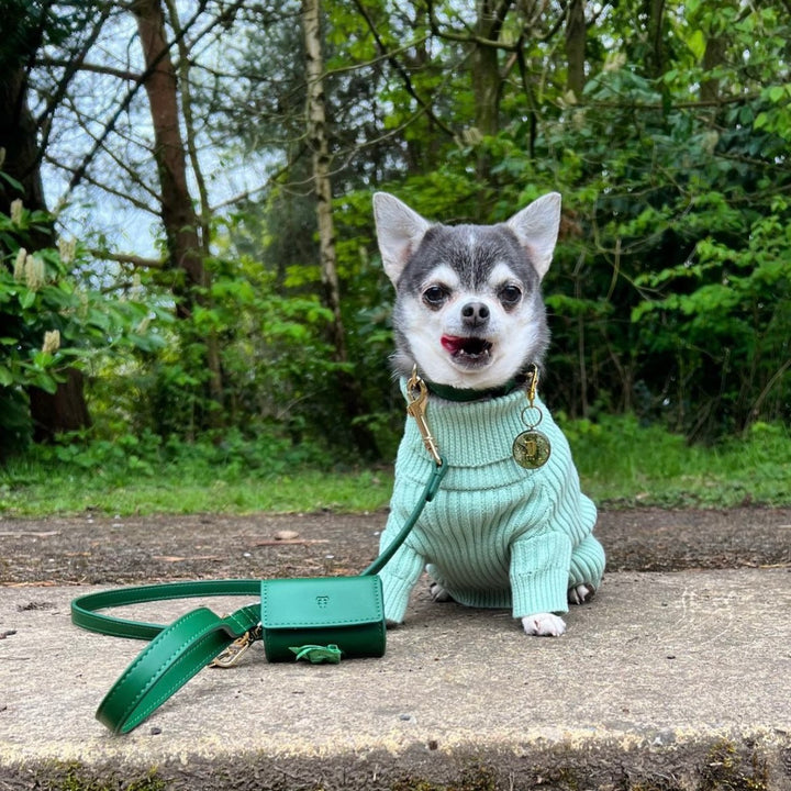 Forest Green Dog Collar