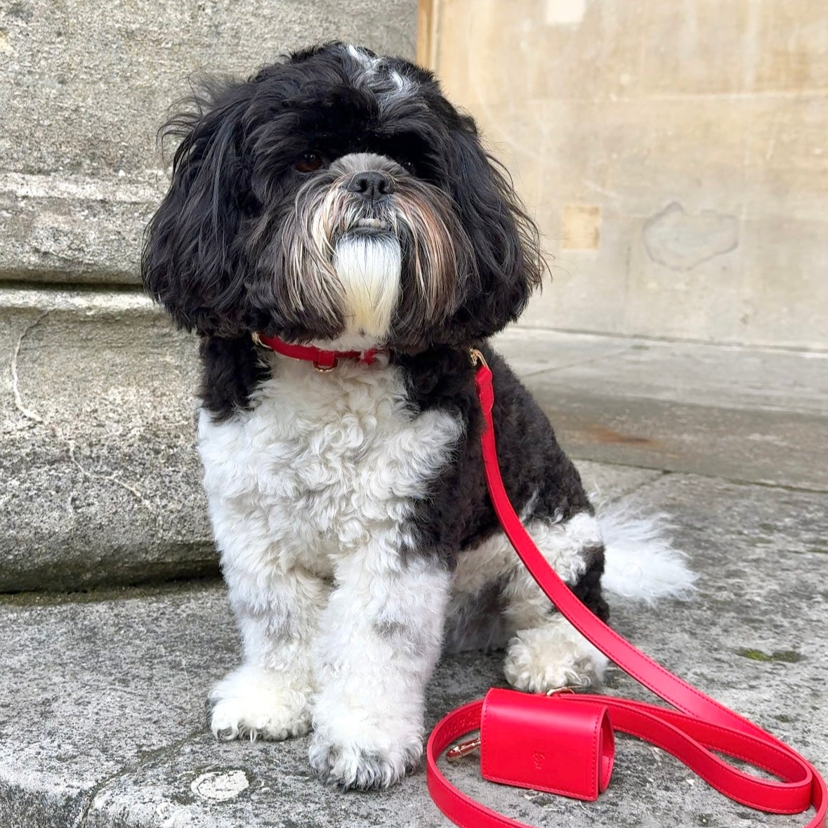 Red Poop Bag Dispenser Tails & Bloom Stylish and Convenient Pet Waste Solution Tails&Bloom