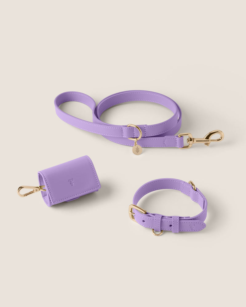 Lavender Walk-Wear Set