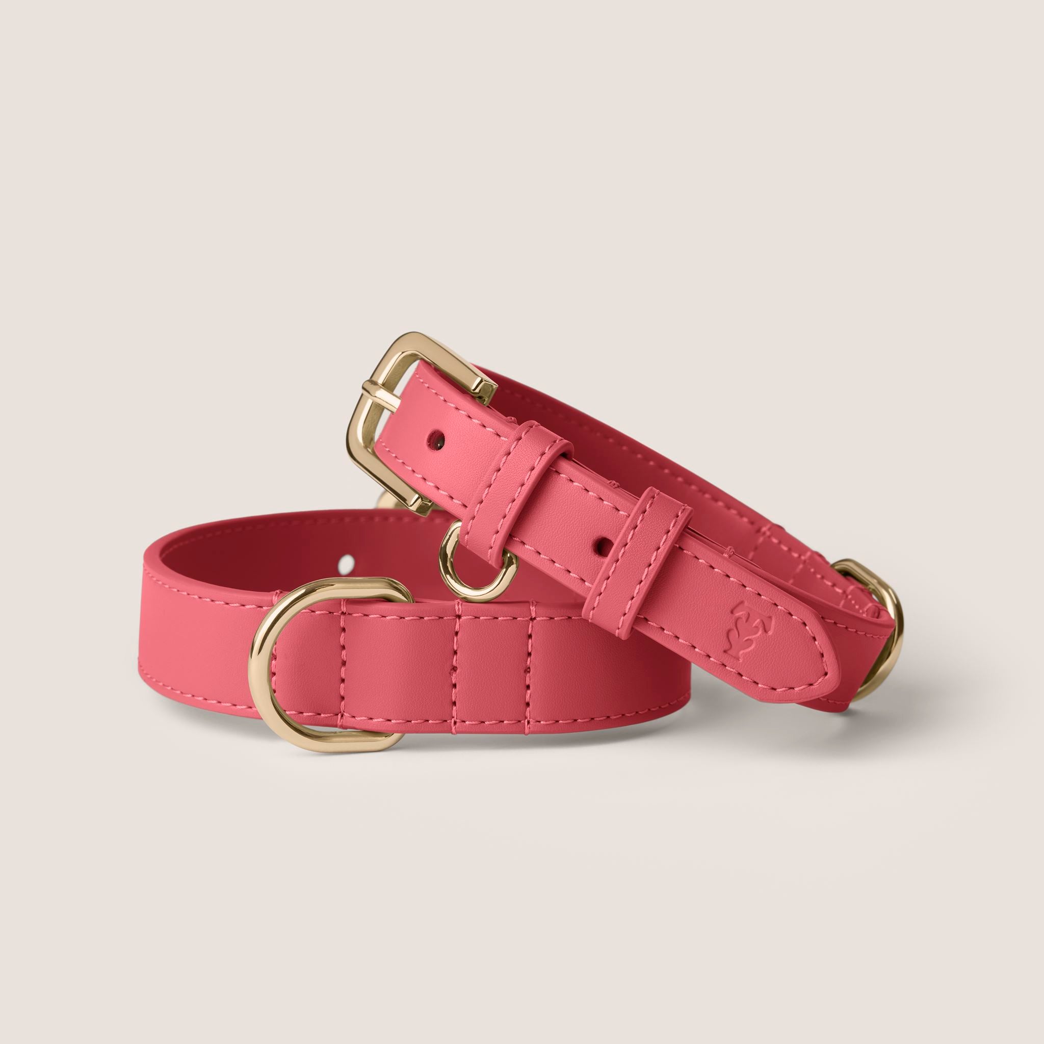 Tails & Bloom rose premium vegan leather adjustable dog collar - stylish & comfortable