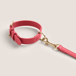 Tails & Bloom rose premium vegan leather adjustable dog collar - stylish & comfortable