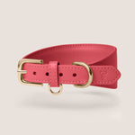 Tails & Bloom rose premium vegan leather adjustable sighthound dog collar - stylish & comfortable
