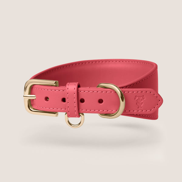 Tails & Bloom rose premium vegan leather adjustable sighthound dog collar - stylish & comfortable