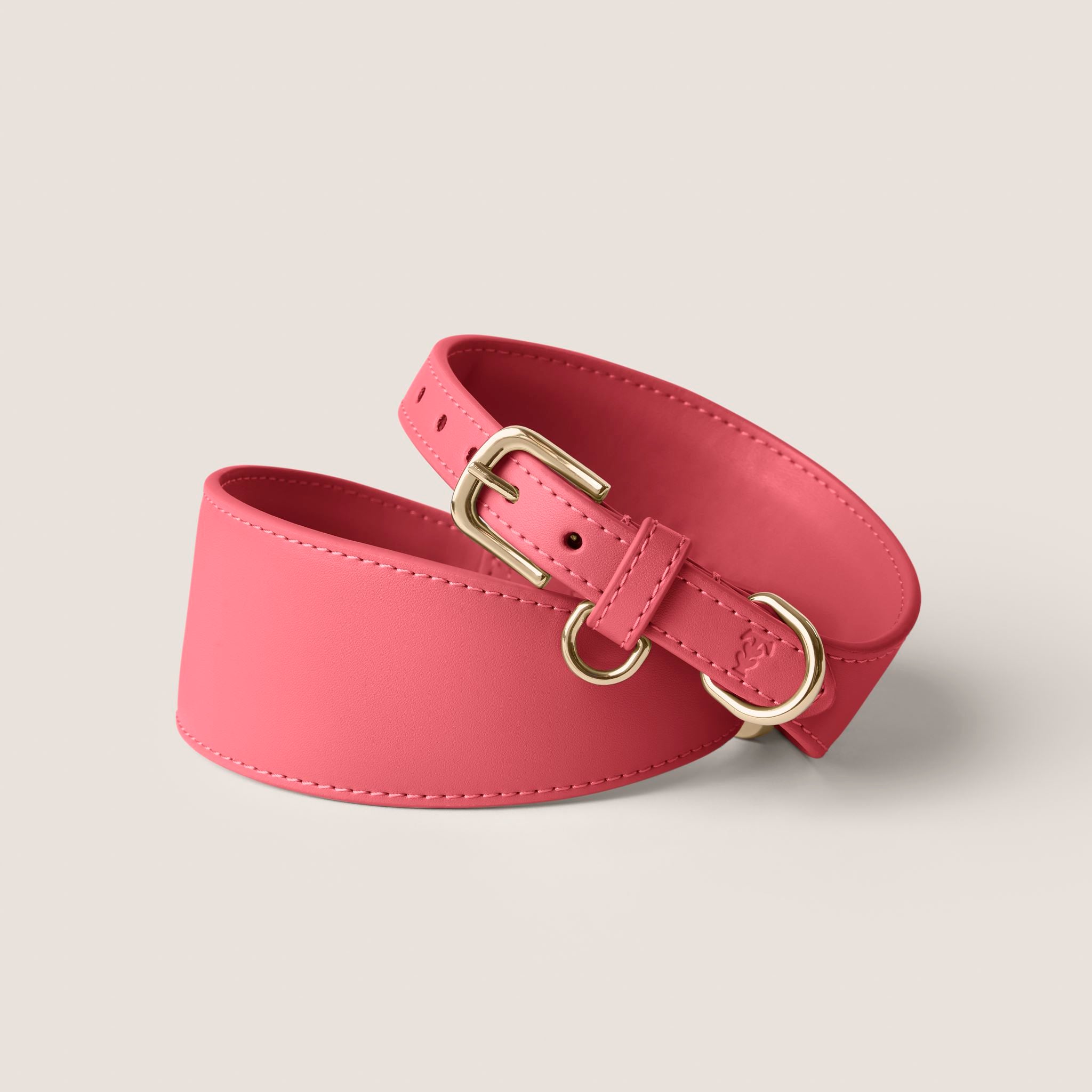 Tails & Bloom rose premium vegan leather adjustable sighthound dog collar - stylish & comfortable