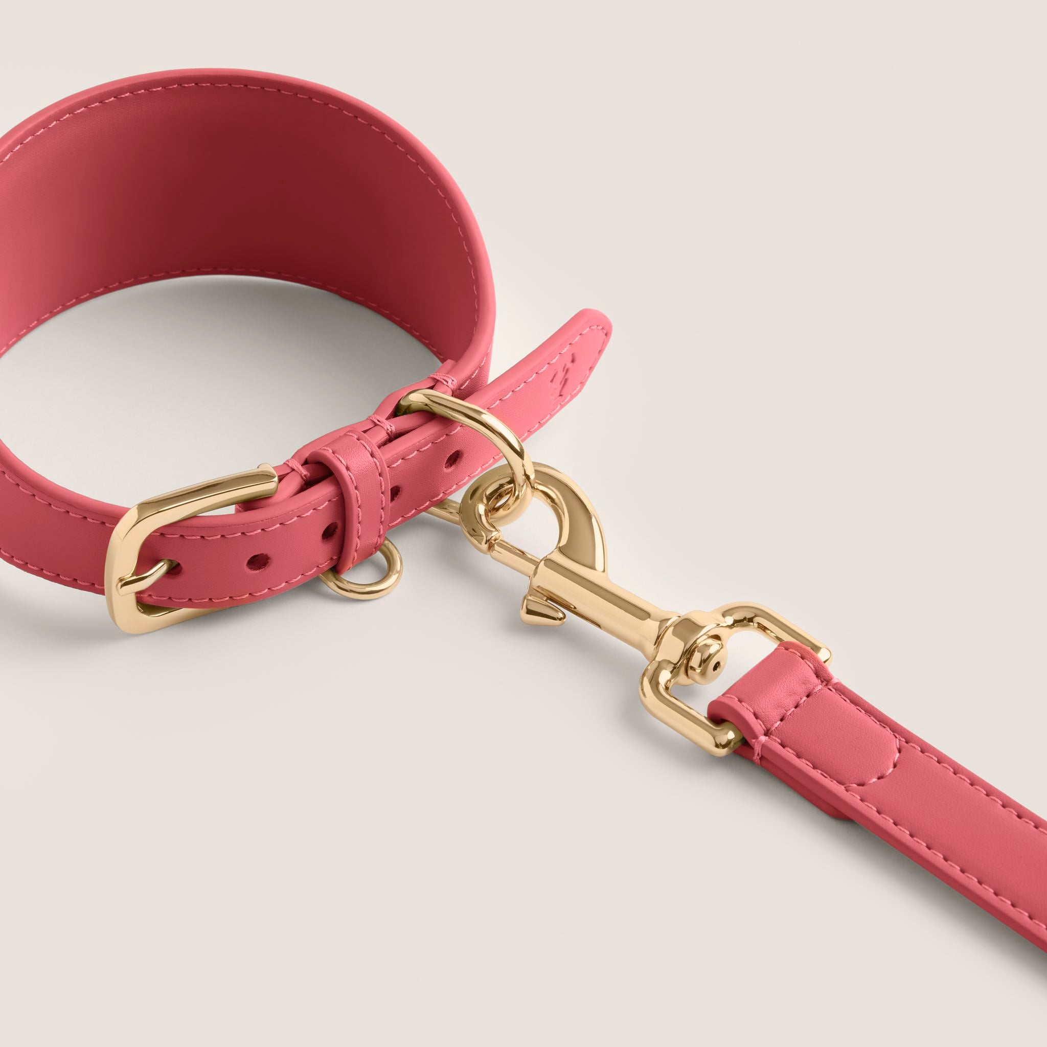 Tails & Bloom rose premium vegan leather adjustable sighthound dog collar - stylish & comfortable
