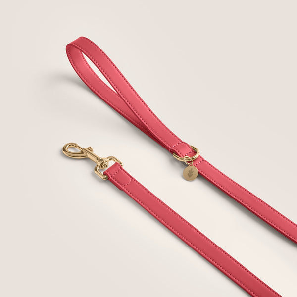 Tails & Bloom rose premium vegan leather dog lead - stylish & comfortable