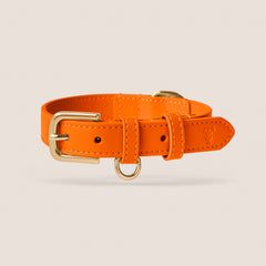 Tails & Bloom tangerine bright orange soft padded vegan leather adjustable dog collar for miniature dachshund & toy poodle