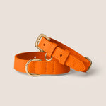 Tails & Bloom tangerine bright orange soft padded vegan leather adjustable dog collar for miniature dachshund & toy poodle