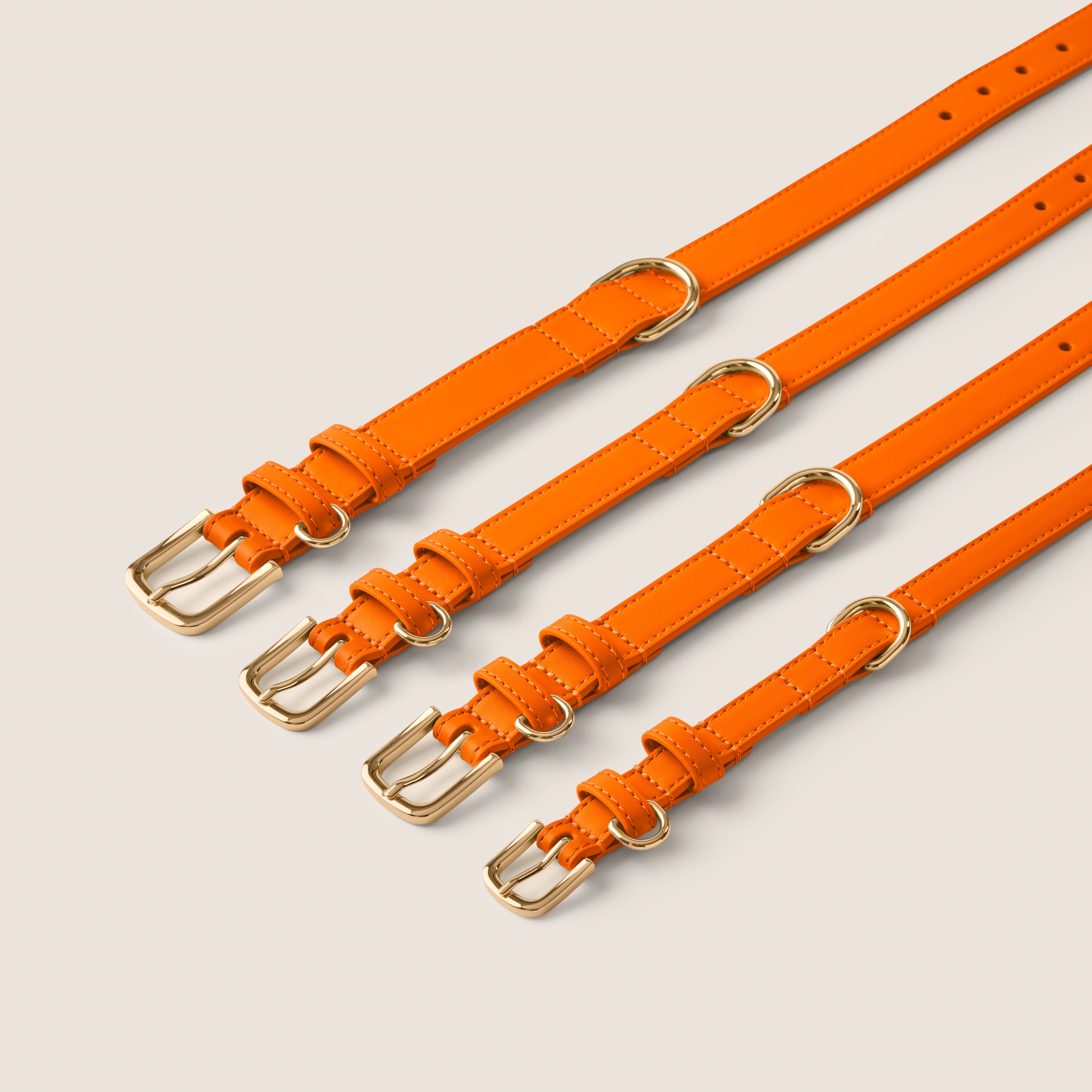 Bright orange tangerine designer dog collar gentle on skin for king charles spaniel & pomchi by Tails & Bloom