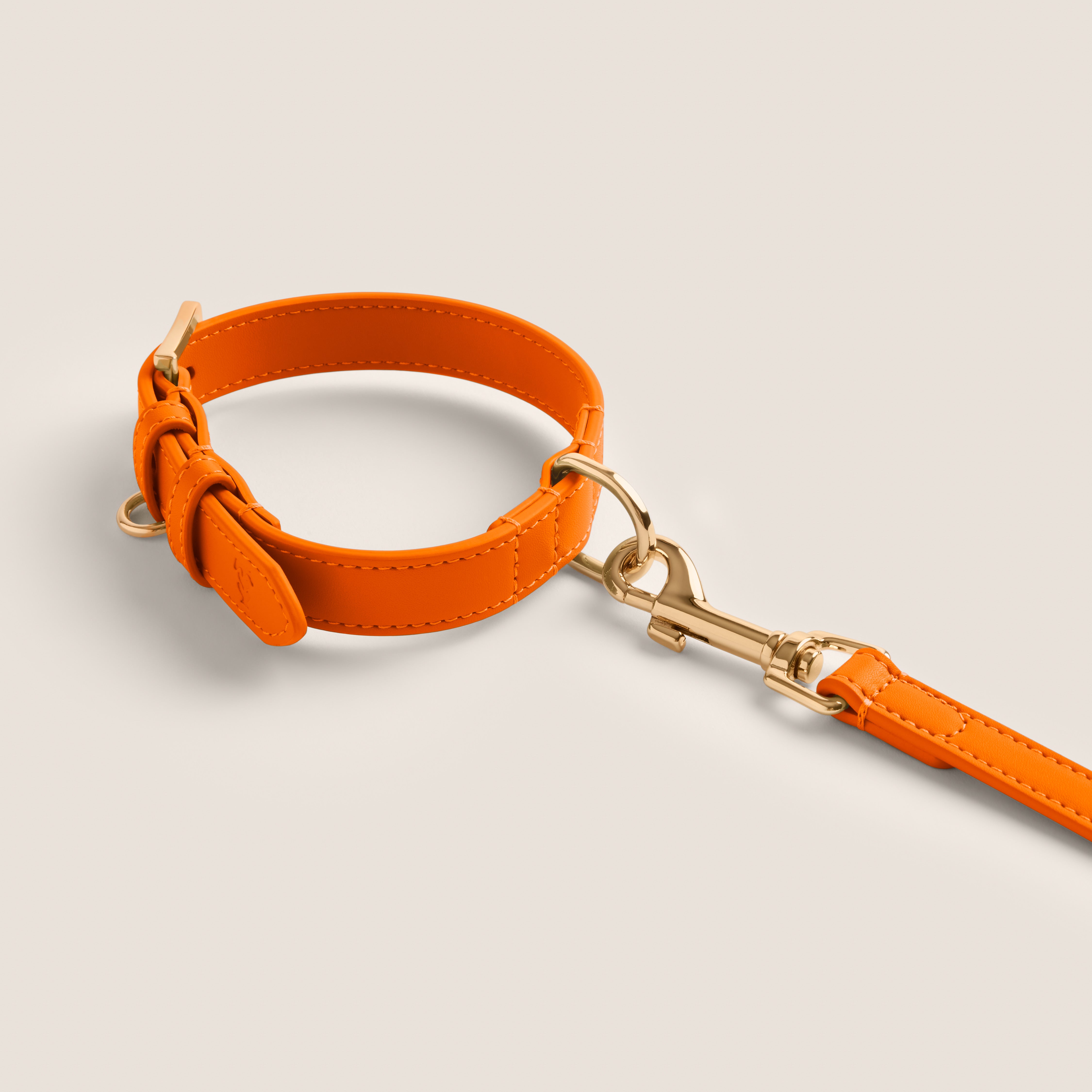 Tails & Bloom tangerine bright orange soft lining adjustable collar for cairn terrier & shorkie - stylish dog accessories