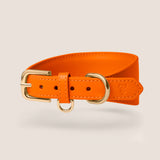Tangerine Hound Walk-Wear Set