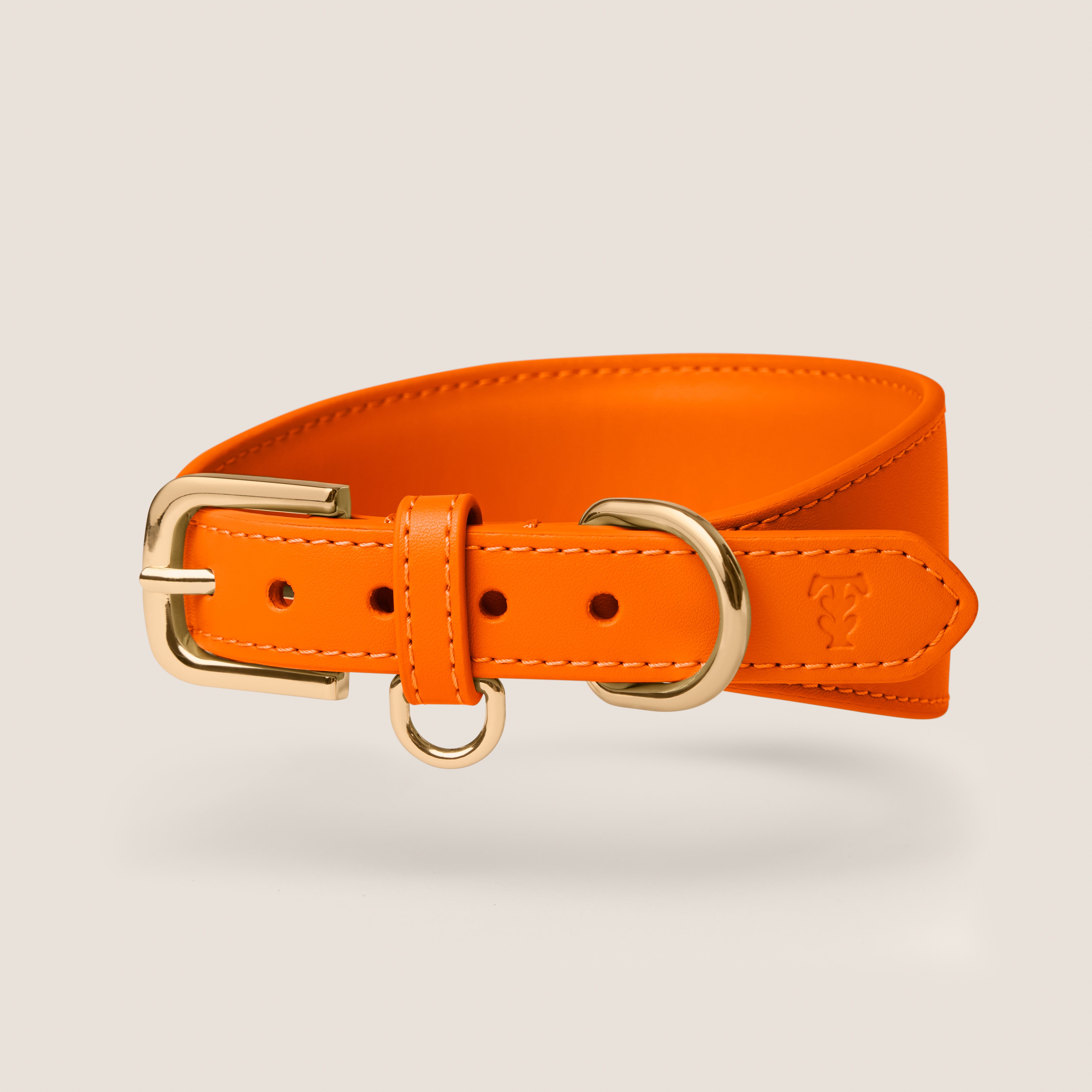 Tails & Bloom tangerine bright orange soft padded vegan leather sighthound collar for whippet & lurcher