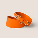 Bold orange tangerine designer sighthound collar gentle on skin for italian greyhound & whippet by Tails & Bloom