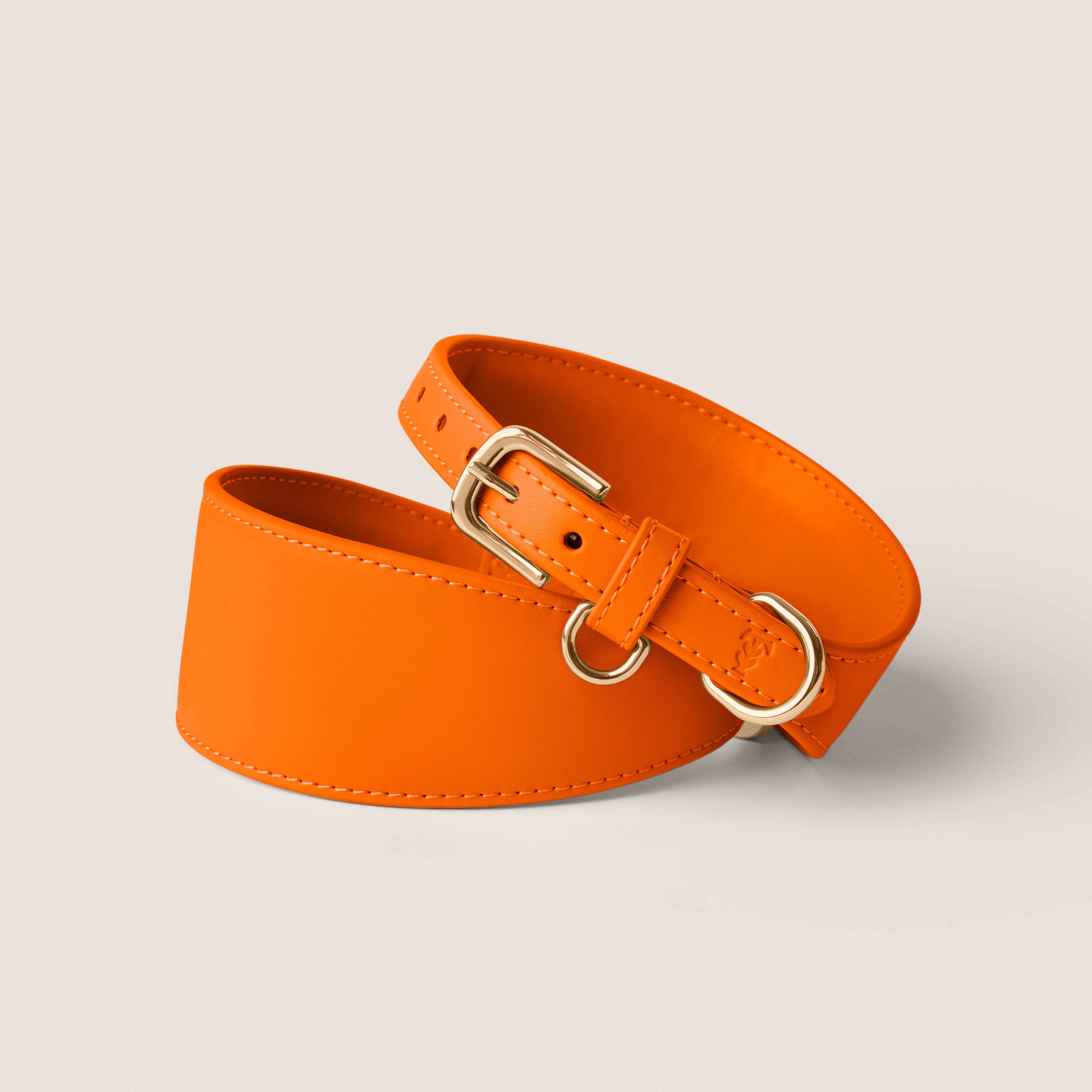 Bold orange tangerine designer sighthound collar gentle on skin for italian greyhound & whippet by Tails & Bloom