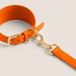 Tails & Bloom tangerine bright orange comfortable fit soft lining sighthound collar for lurcher & italian greyhound