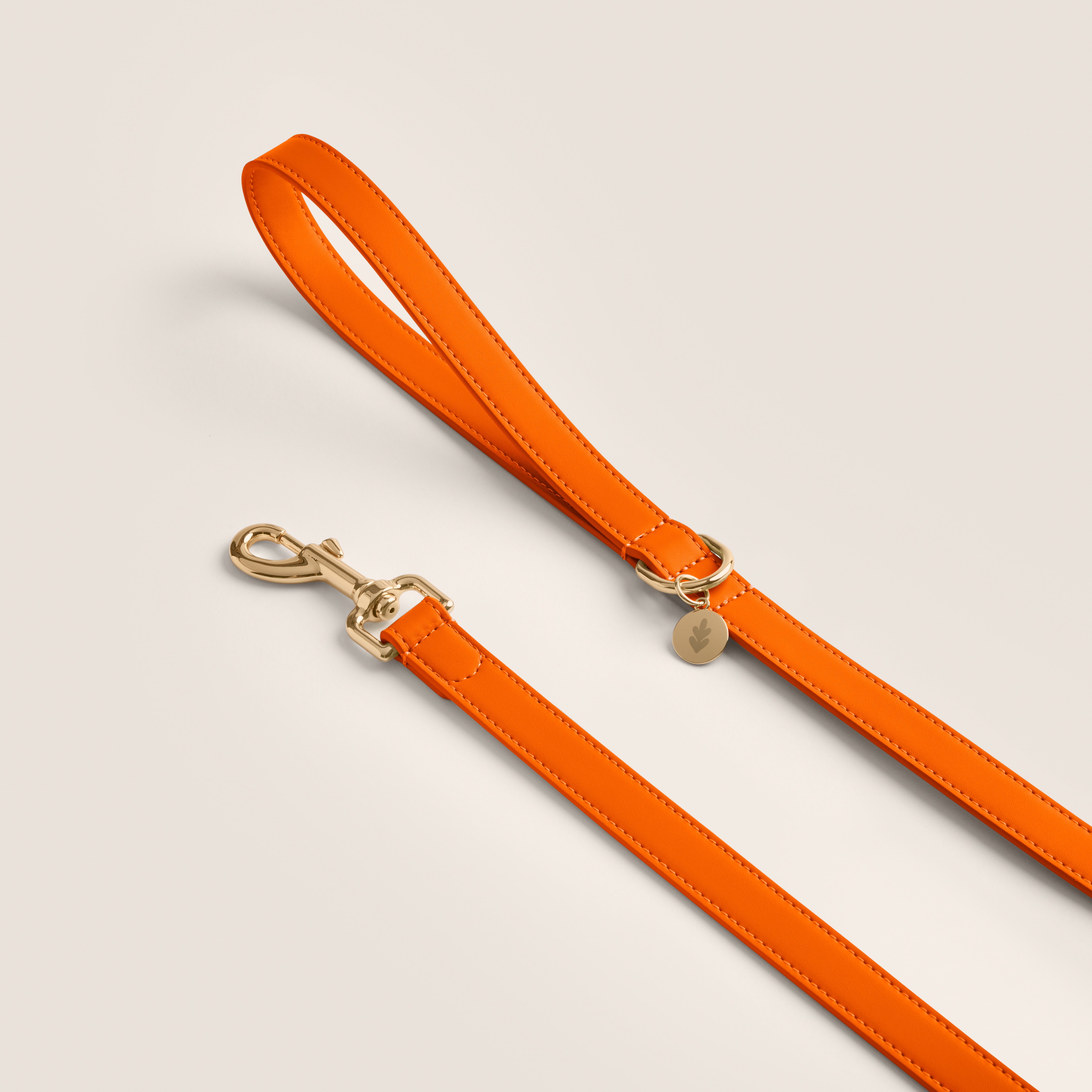 Tails & Bloom tangerine bright orange new puppy gift vegan leather lead for cairn terrier & dachshund