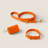 Tangerine Walk-Wear Set