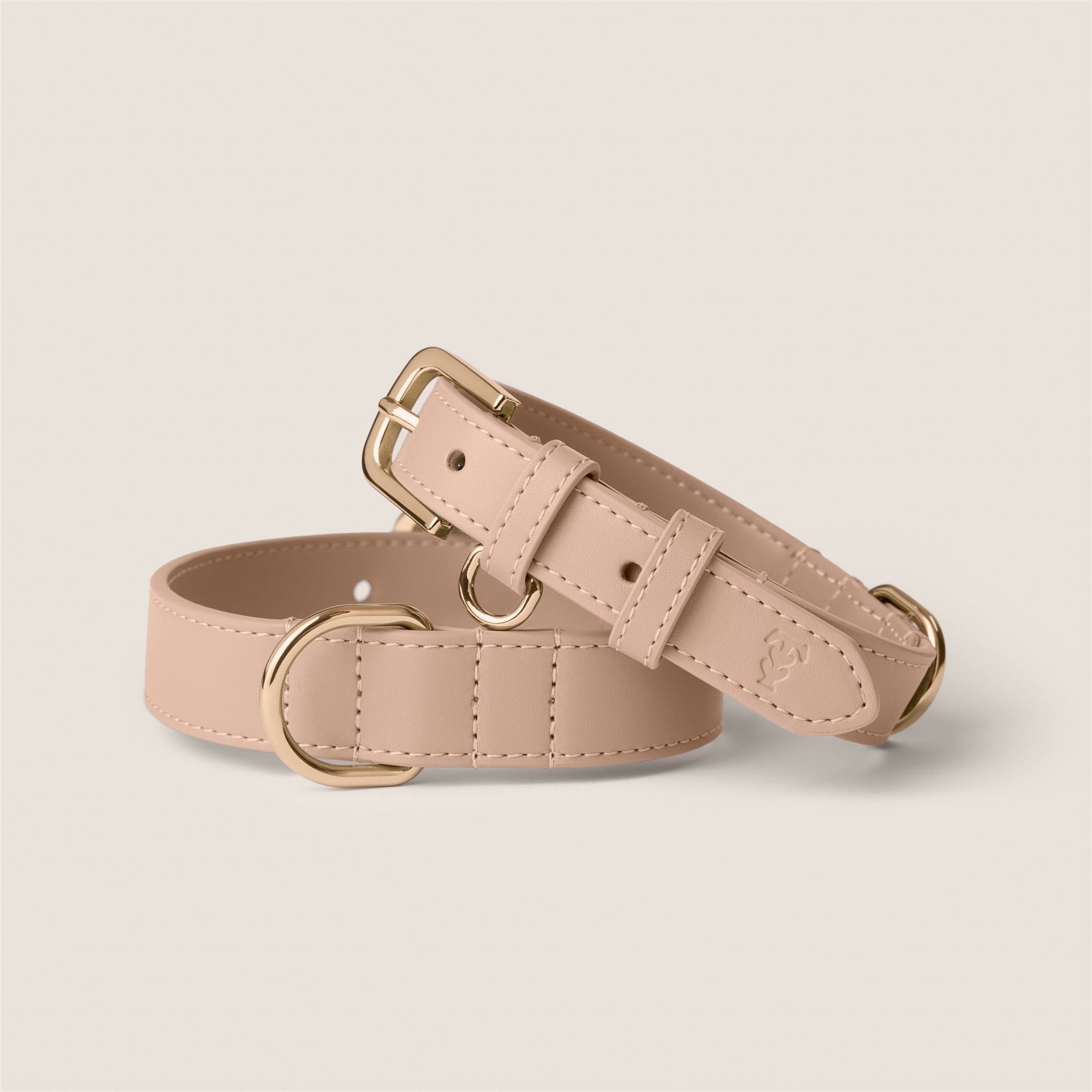 Biscotti vegan leather adjustable dog collar by Tails & Bloom - luxury pet accessory