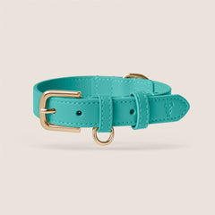 Tails & Bloom capri vegan leather adjustable dog collar for dachshund & terrier - premium