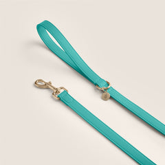 Tails & Bloom capri premium vegan leather dog lead - stylish & comfortable