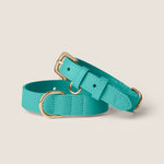 Capri vegan leather adjustable dog collar for spaniel & puppy by Tails & Bloom - luxury