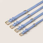 Tails & Bloom adjustable dog collar in cornflower blue vegan leather for small dogs & cockapoo
