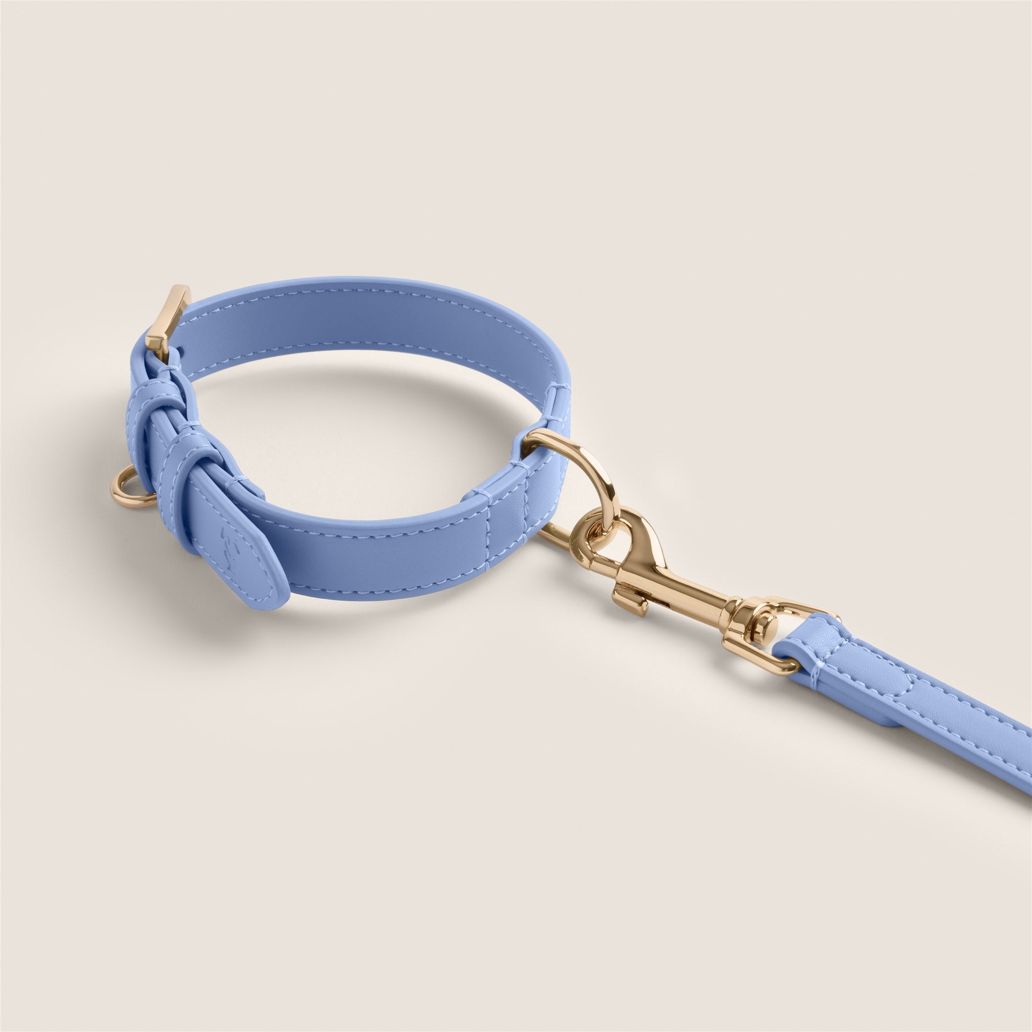 Cornflower blue premium vegan leather adjustable collar for cavapoo & bichon frise by Tails & Bloom