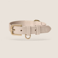 Tails & Bloom ecru vegan leather adjustable dog collar for dachshund & terrier - premium