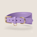 Tails & Bloom lavender purple lightweight vegan leather sighthound collar for whippet & lurcher