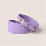Tails & Bloom easy clean lavender purple sighthound collar for lurcher & italian greyhound - luxury