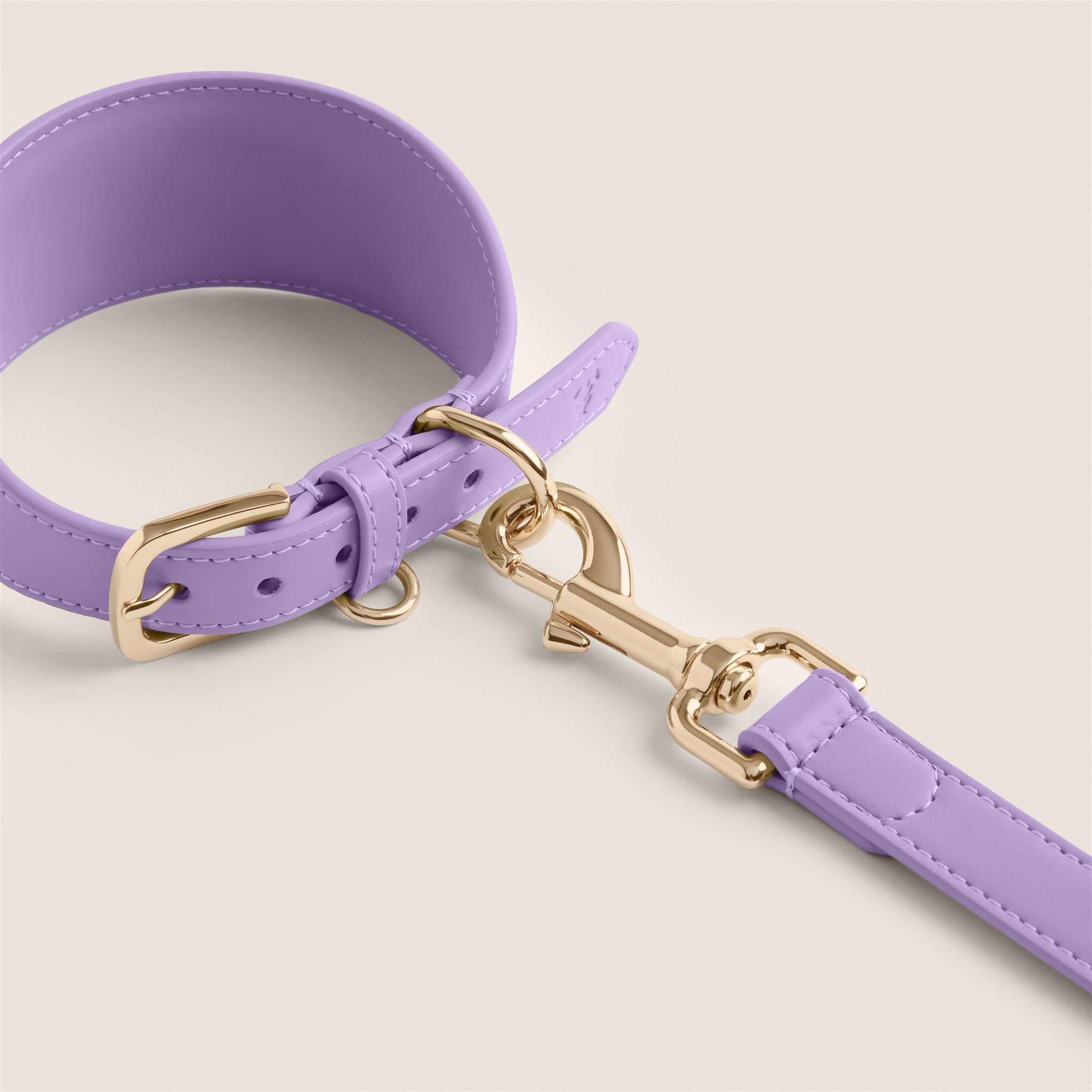 Purple lavender durable vegan leather italian greyhound & whippet sighthound collar by Tails & Bloom