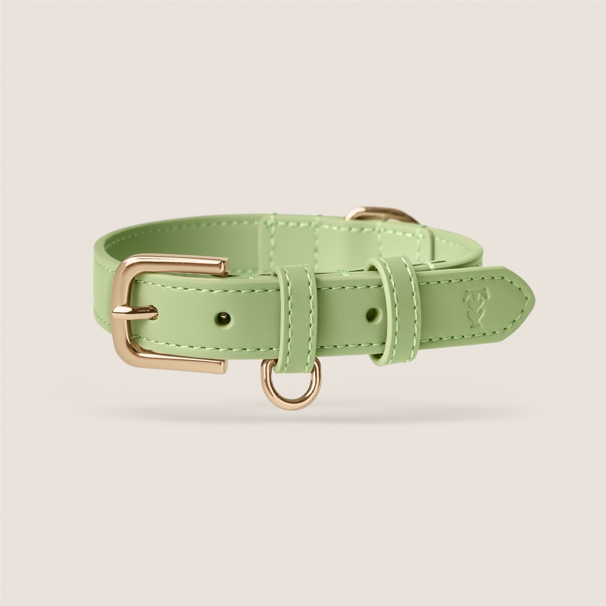 Tails & Bloom matcha pastel green lightweight vegan leather adjustable dog collar for dachshund & cavapoo