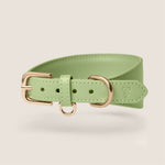 Tails & Bloom matcha pastel green lightweight vegan leather sighthound collar for whippet & lurcher