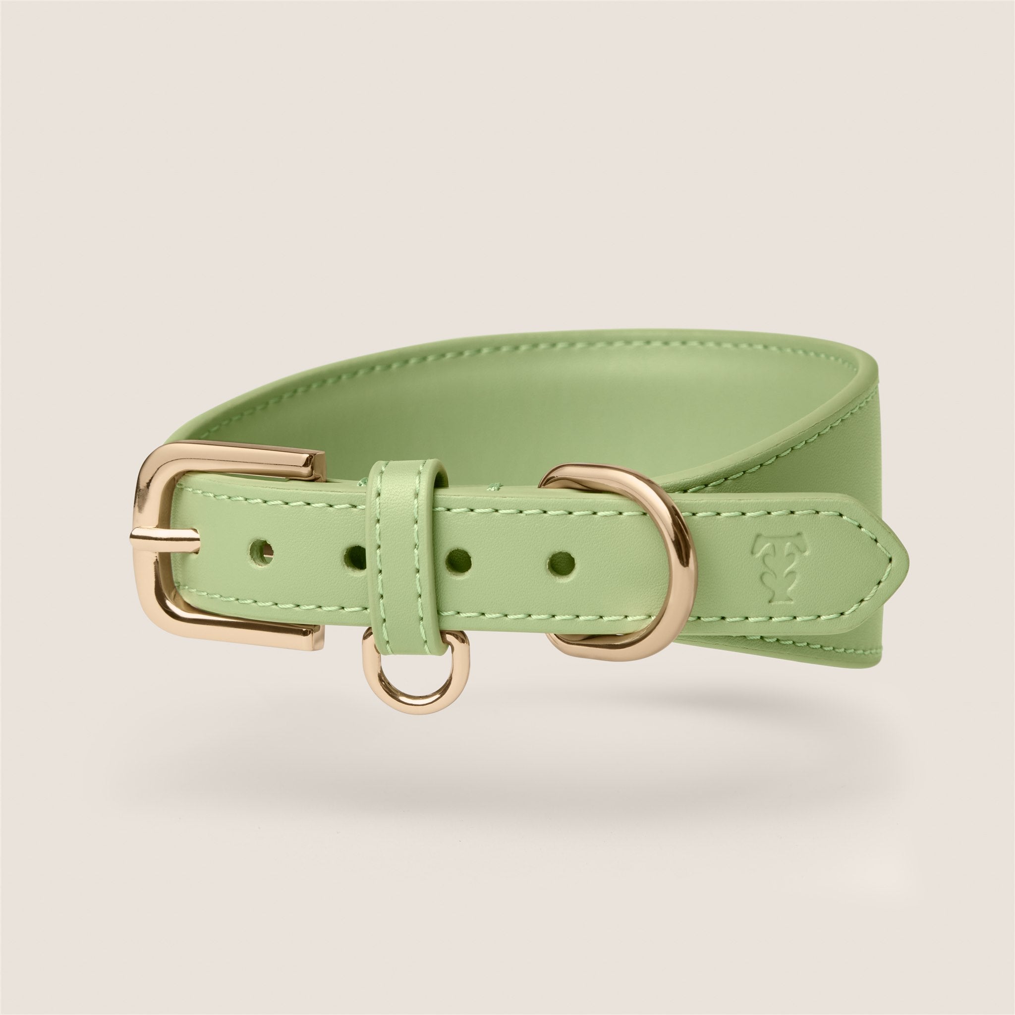 Tails & Bloom matcha pastel green lightweight vegan leather sighthound collar for whippet & lurcher