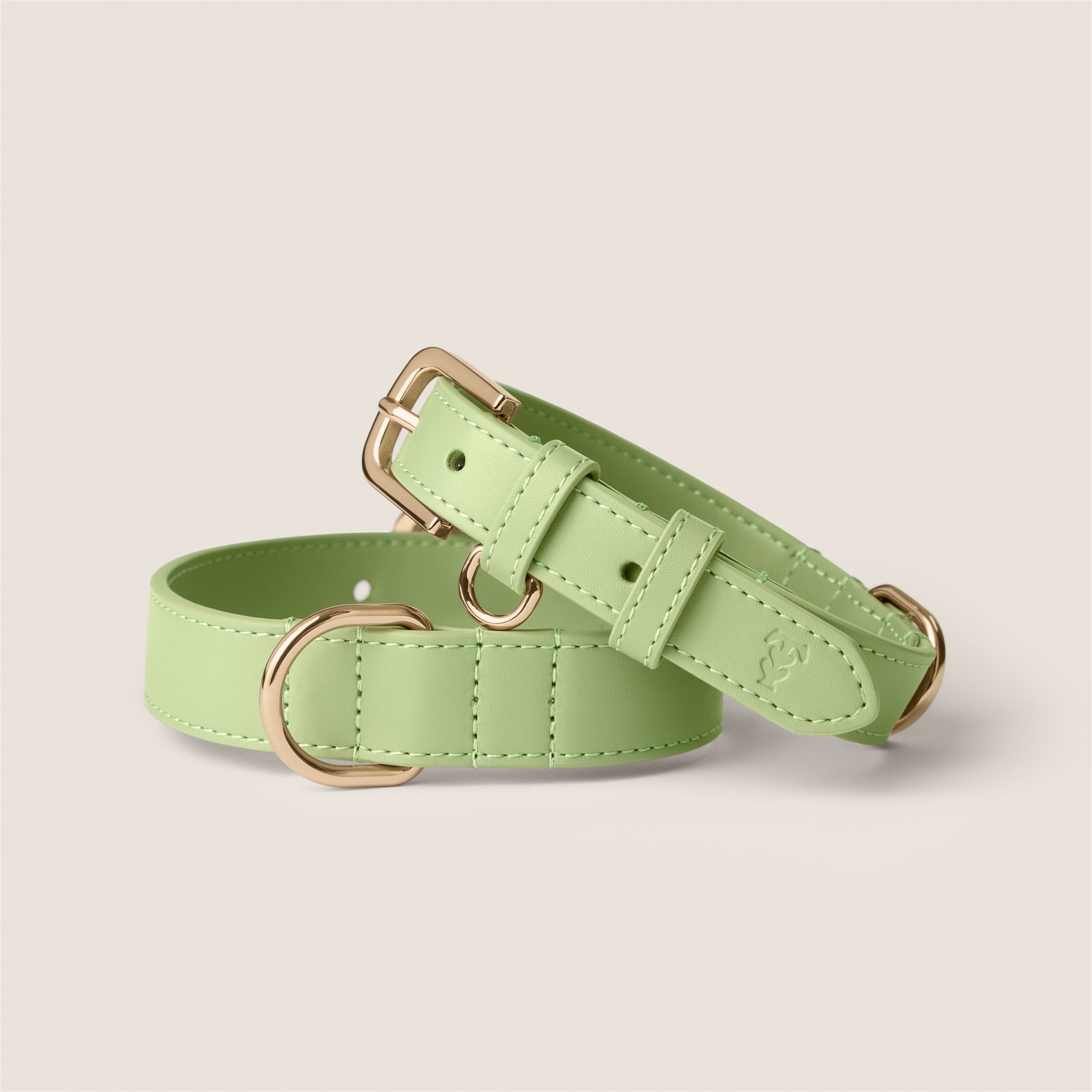Pastel green matcha durable vegan leather adjustable collar for westie & shih tzu by Tails & Bloom