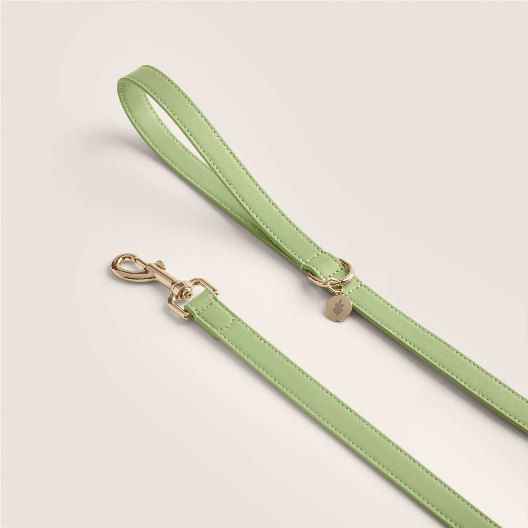 Tails & Bloom matcha pastel green lightweight vegan leather small dog lead for cocker spaniel & cavalier king charles