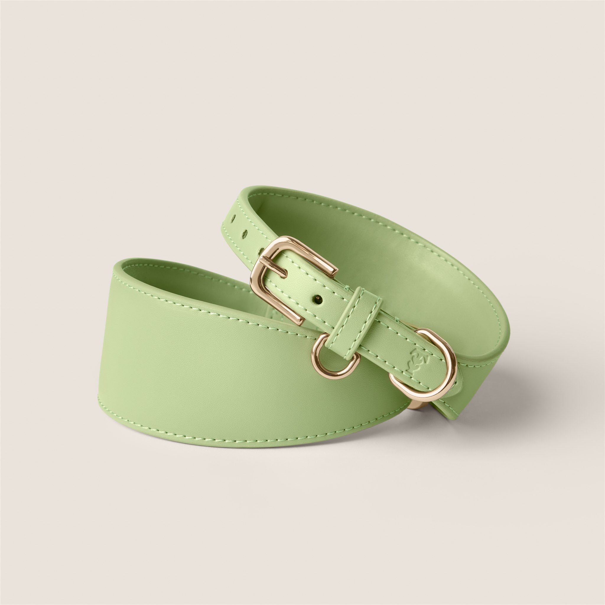 Pastel green matcha durable vegan leather italian greyhound & whippet sighthound collar by Tails & Bloom