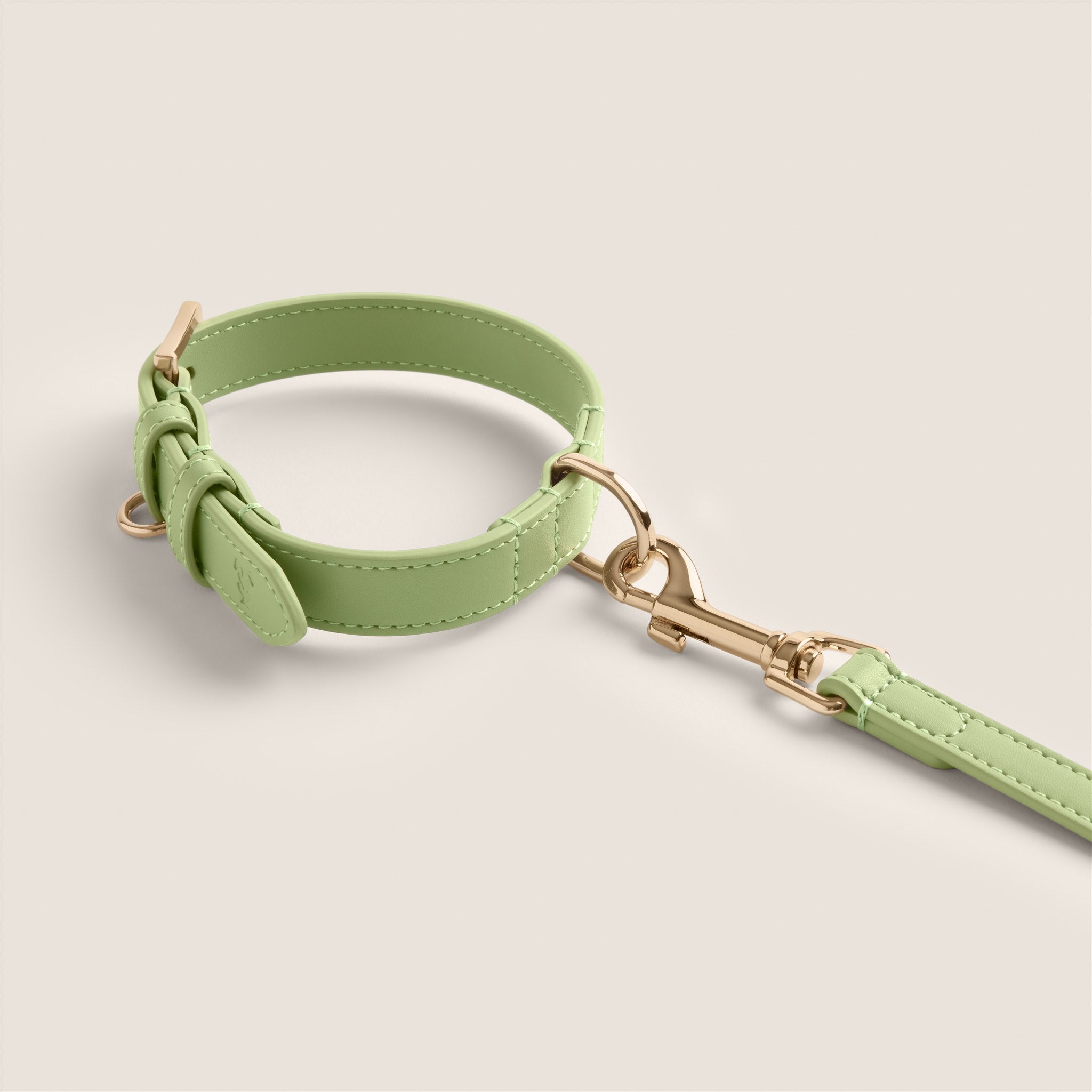 Pastel green lightweight vegan leather collar for maltese & miniature poodle by Tails & Bloom