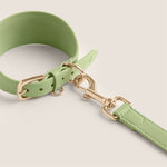 Tails & Bloom matcha pastel green lightweight vegan leather sighthound collar for whippet & lurcher