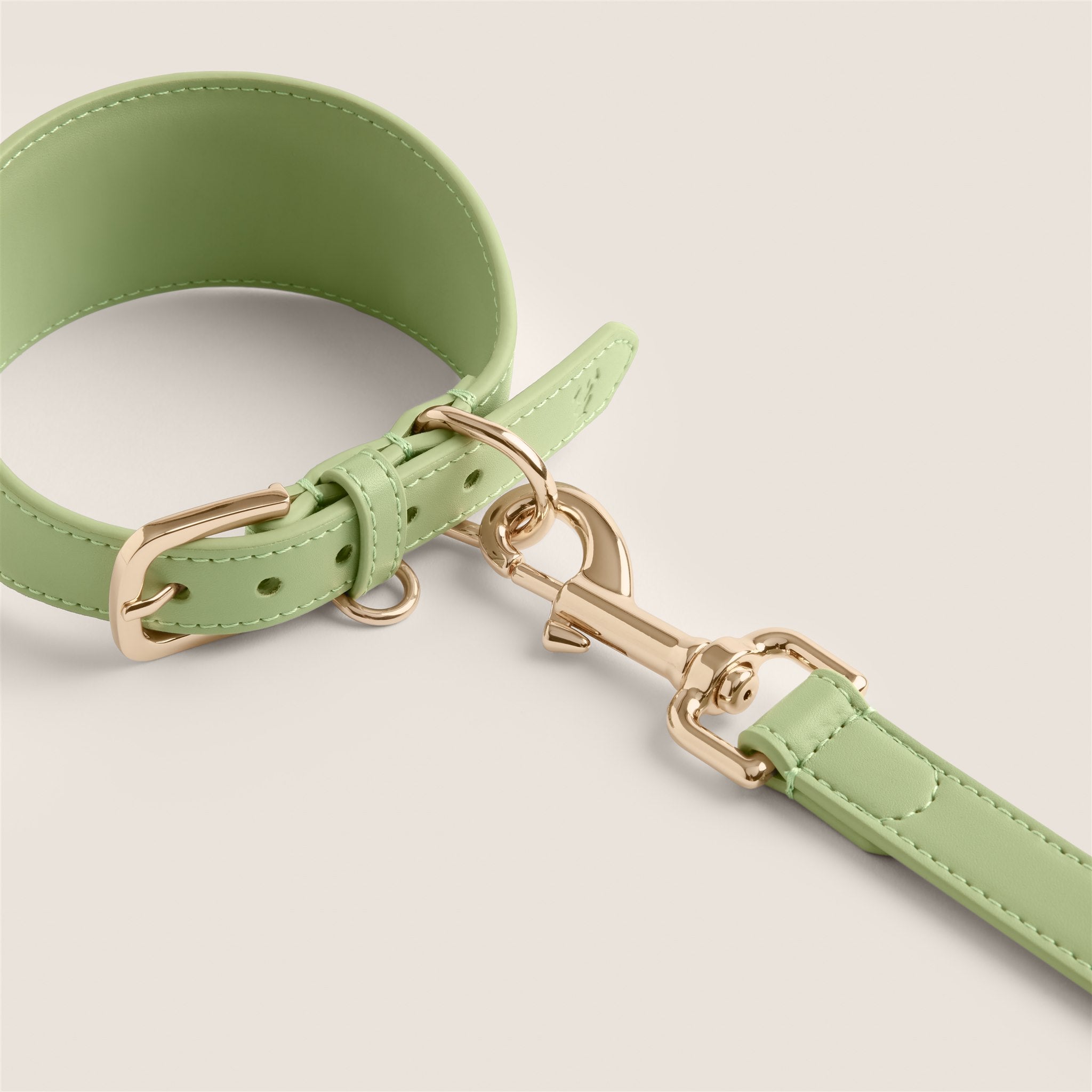 Tails & Bloom matcha pastel green lightweight vegan leather sighthound collar for whippet & lurcher