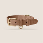 Tails & Bloom mocha brown lightweight vegan leather adjustable dog collar for dachshund & cavapoo