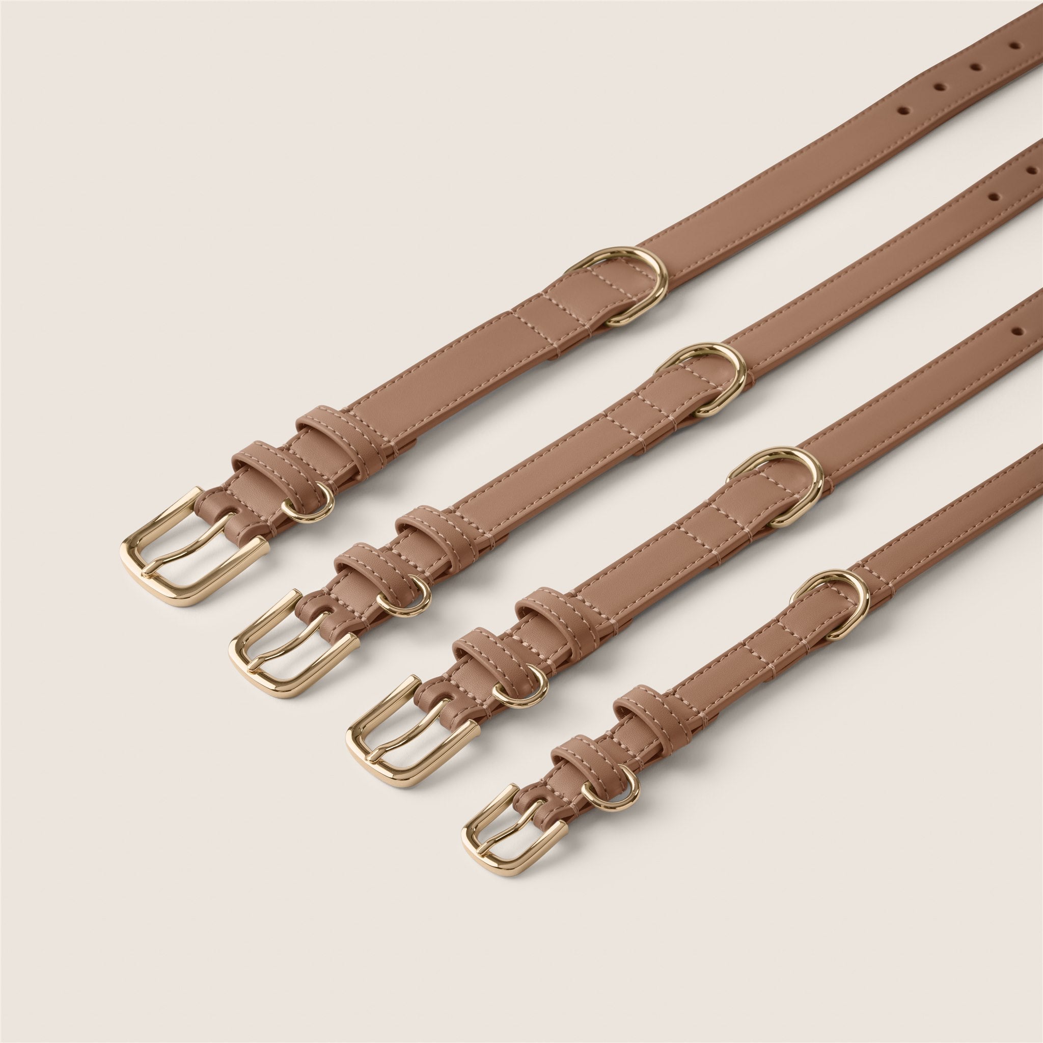 Tails & Bloom easy clean mocha brown adjustable collar for show cocker spaniel & schnauzer