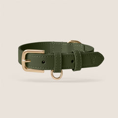 Tails & Bloom olive green lightweight vegan leather adjustable dog collar for dachshund & cavapoo