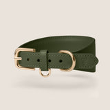 Olive Hound Walk-Wear Set