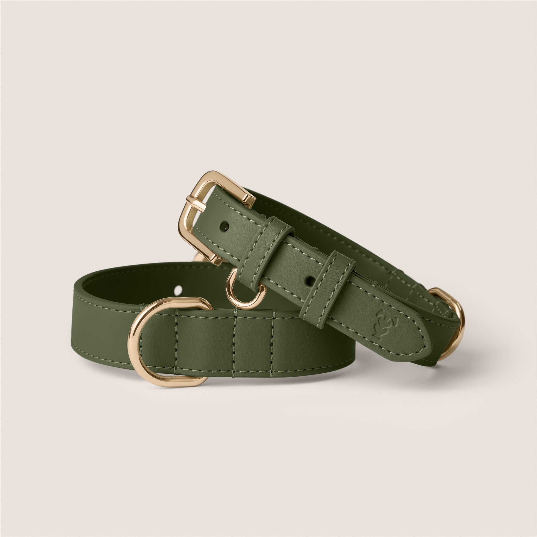 Olive green durable vegan leather adjustable collar for dachshund puppy by Tails & Bloom